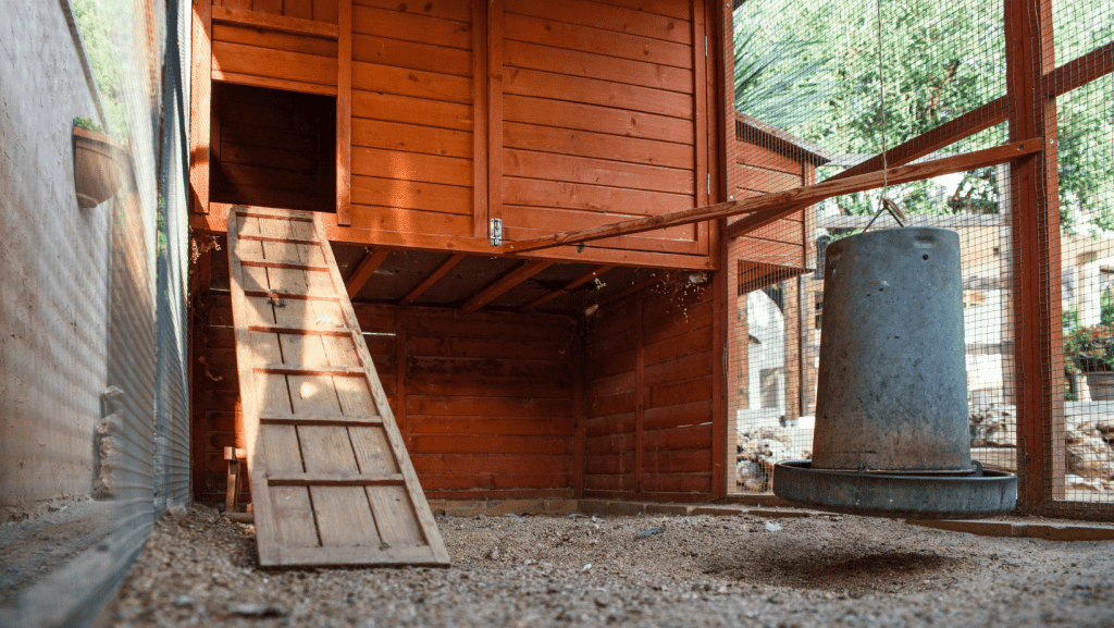 Chicken Run With Gravel Dirt And Sand