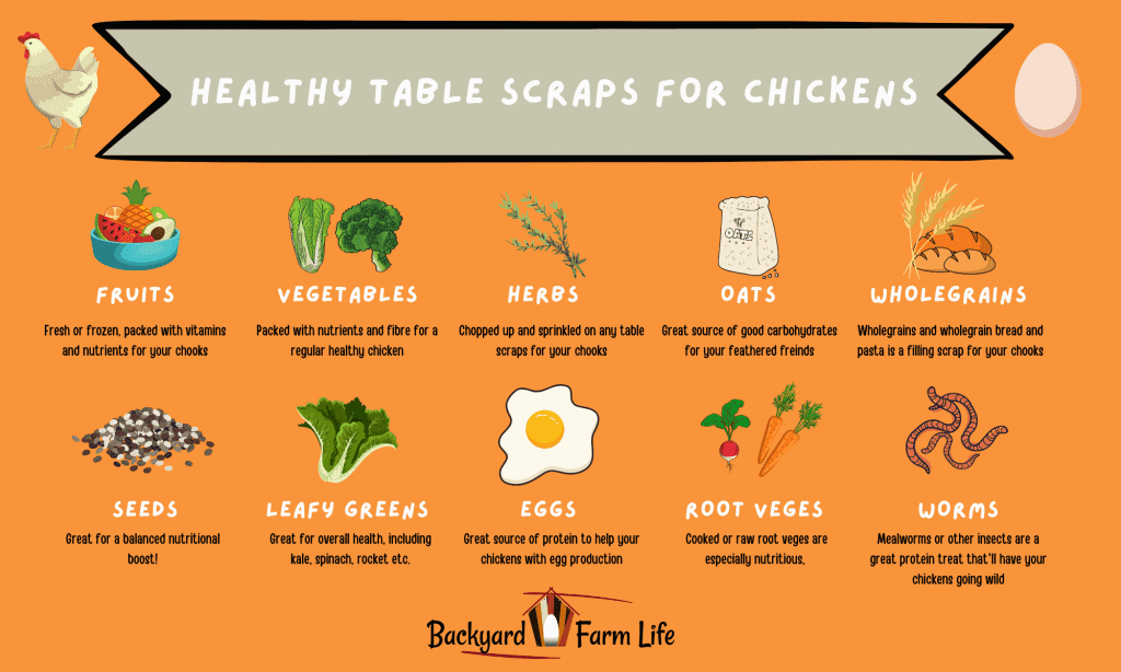 Healthy Table Scraps For Chickens 