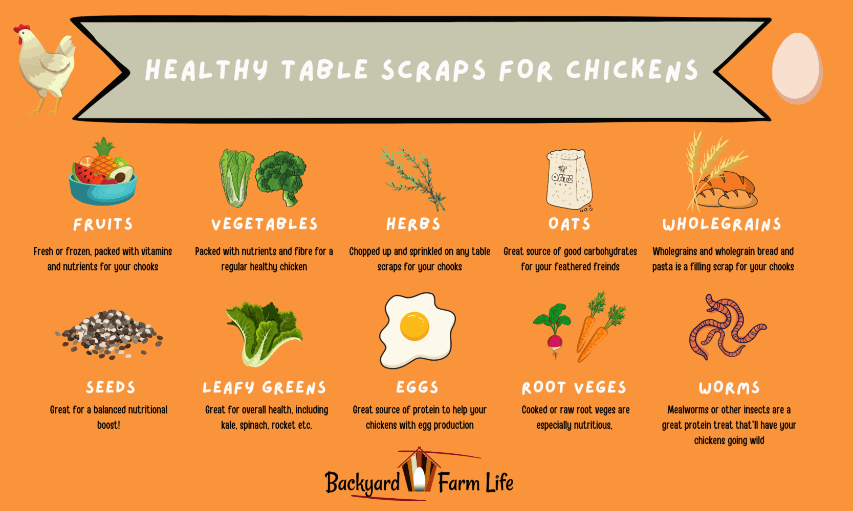 Healthy Table Scraps For Chickens Large 