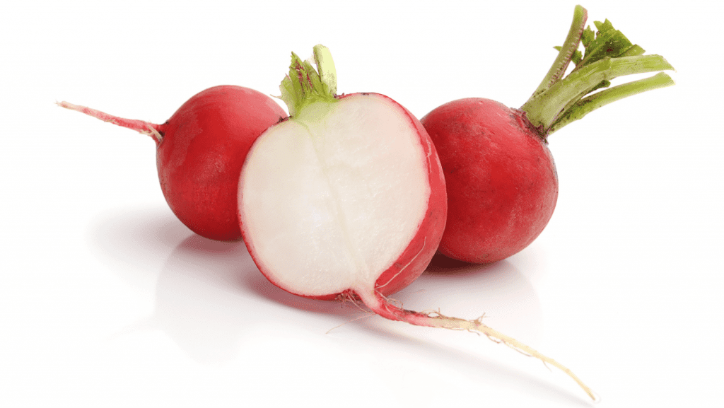  Radish