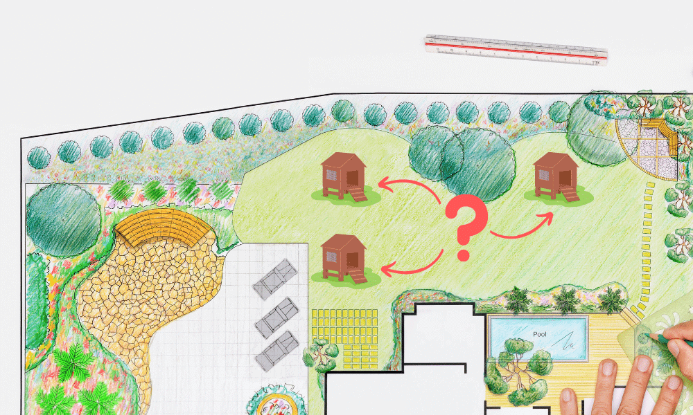 Coop Placement Backyard Plan
