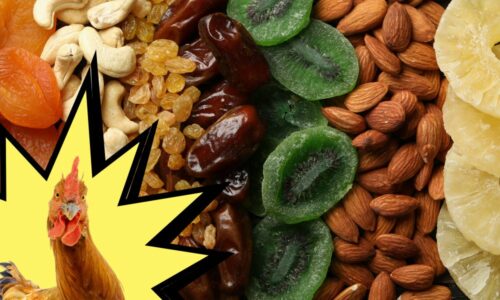 Can Chickens Eat Dried Fruit (+ Fruit & Nut Mixes!)
